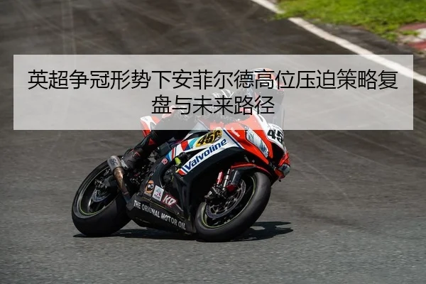 ying-chao-zheng-guan-xing-shi-xia-an-fei-er-de-gao-wei-ya-po-ce-lve-fu-pan-yu-wei-lai-lu-jing-2-228.jpg